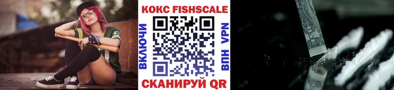 магазин продажи наркотиков  Темников  Cocaine FishScale 