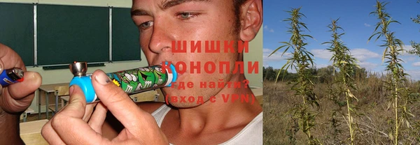 эйфоретик Алексин