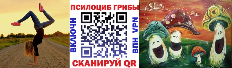 Галлюциногенные грибы GOLDEN TEACHER где найти blacksprut ТОР Темников