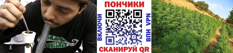 Конопля THC 21% Темников